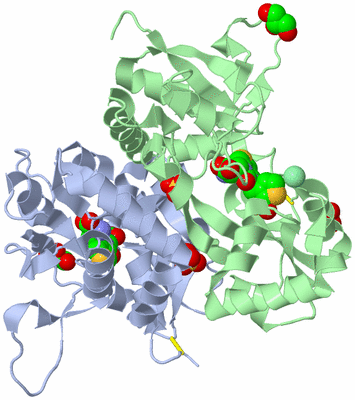 Image Asym./Biol. Unit