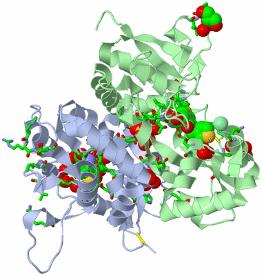 Image Asym./Biol. Unit - sites