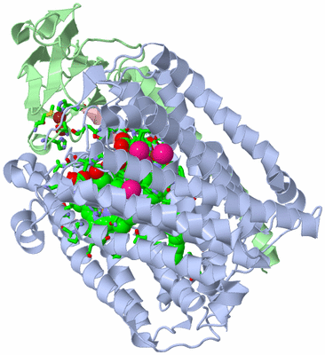 Image Asym./Biol. Unit - sites