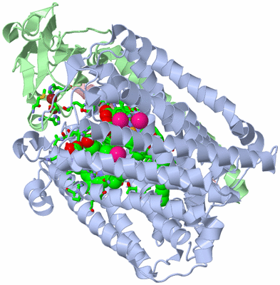 Image Asym./Biol. Unit - sites