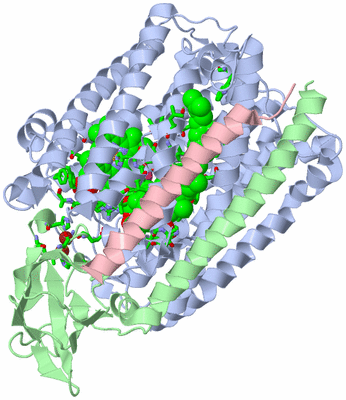 Image Asym./Biol. Unit - sites