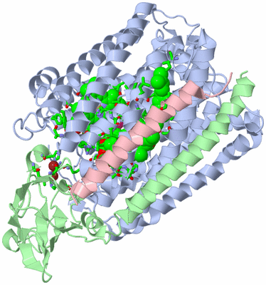 Image Asym./Biol. Unit - sites