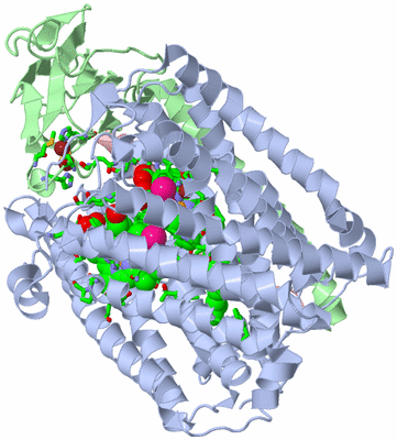 Image Asym./Biol. Unit - sites