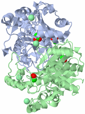 Image Asym./Biol. Unit