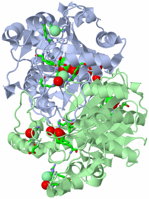 Image Asym./Biol. Unit - sites