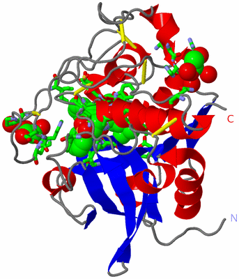 Image Asym./Biol. Unit - sites