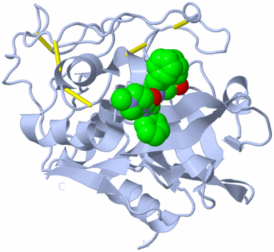 Image Biological Unit 1