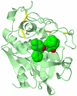 Image Biological Unit 2