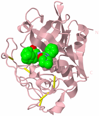 Image Biological Unit 3