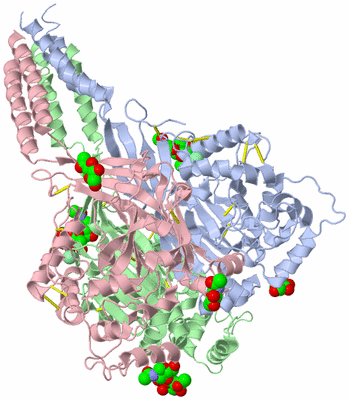 Image Asym./Biol. Unit