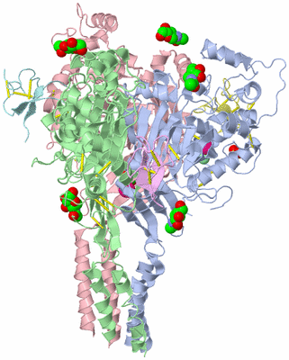 Image Asym./Biol. Unit