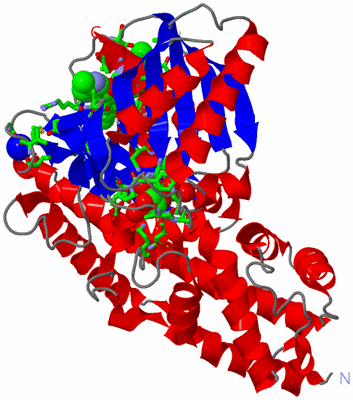 Image Asym./Biol. Unit - sites