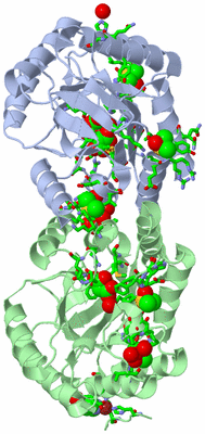 Image Asym./Biol. Unit - sites