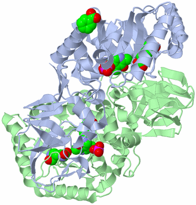 Image Asym./Biol. Unit