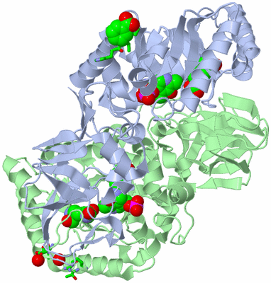 Image Asym./Biol. Unit - sites