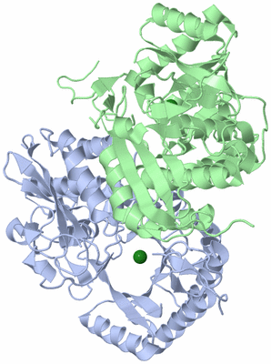 Image Biological Unit 1