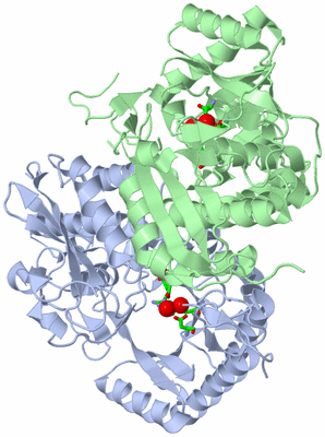 Image Biol. Unit 1 - sites