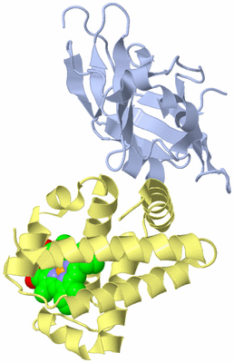 Image Biological Unit 1