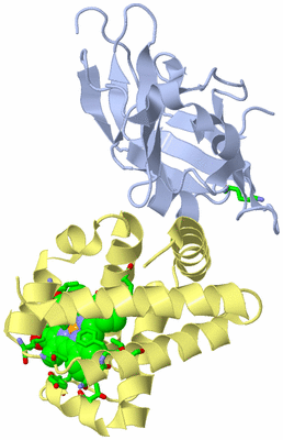 Image Biol. Unit 1 - sites