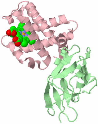 Image Biological Unit 2