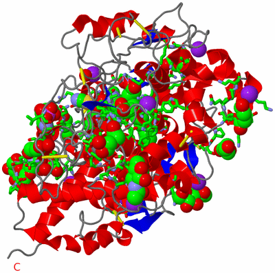 Image Asym./Biol. Unit - sites