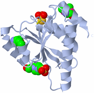 Image Biological Unit 1
