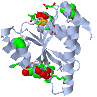 Image Biol. Unit 1 - sites