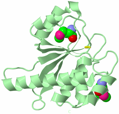 Image Biological Unit 2
