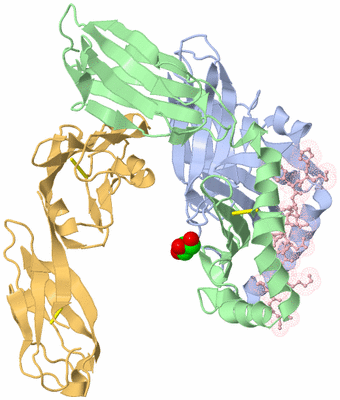 Image Biological Unit 1