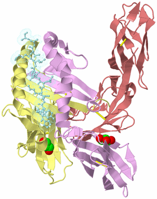 Image Biological Unit 2