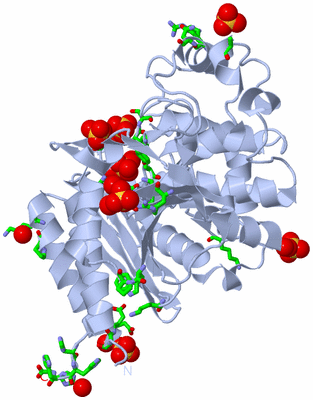 Image Biol. Unit 1 - sites