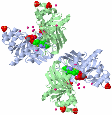 Image Biological Unit 1