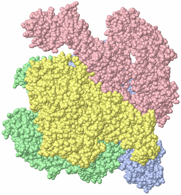 Image Asymmetric Unit