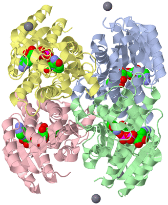 Image Biological Unit 1