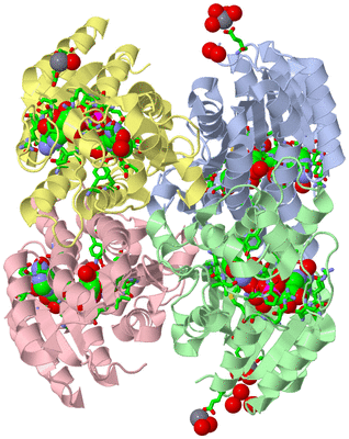 Image Biol. Unit 1 - sites