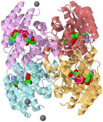 Image Biological Unit 2