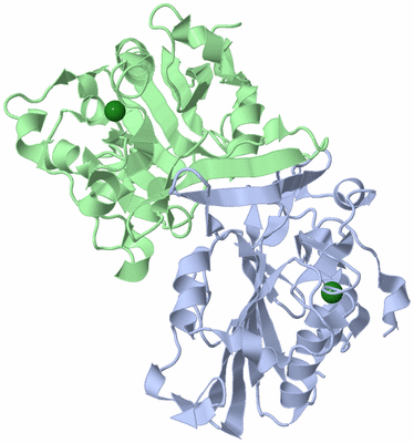 Image Asym./Biol. Unit