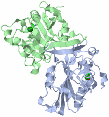 Image Asym./Biol. Unit - sites