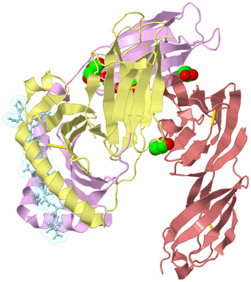 Image Biological Unit 2