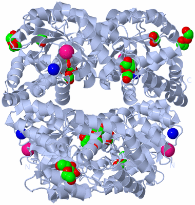 Image Biological Unit 1