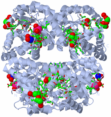 Image Biol. Unit 1 - sites