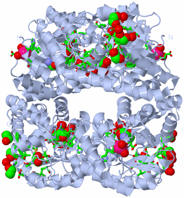 Image Biol. Unit 1 - sites