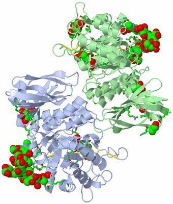 Image Asym./Biol. Unit - sites