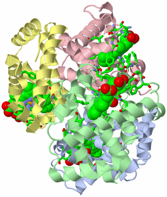 Image Asym./Biol. Unit - sites