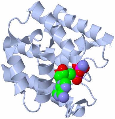 Image Biological Unit 1