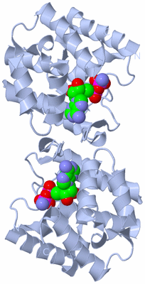 Image Biological Unit 2