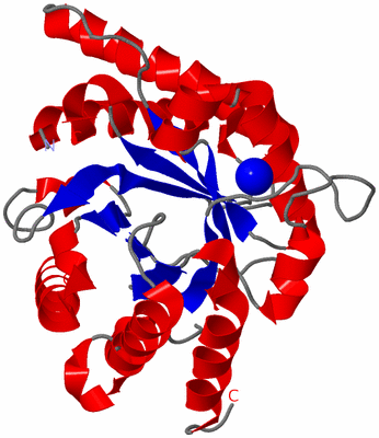 Image Asymmetric Unit