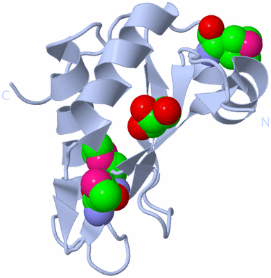 Image Biological Unit 1