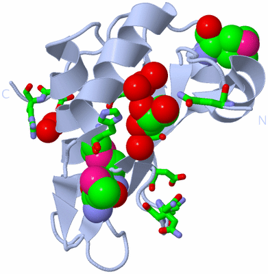 Image Biol. Unit 1 - sites