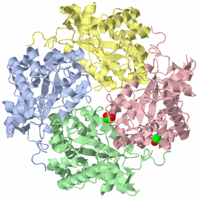 Image Asym./Biol. Unit